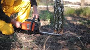 Best Lawn Irrigation Installation and Maintenance  in Archer City, TX